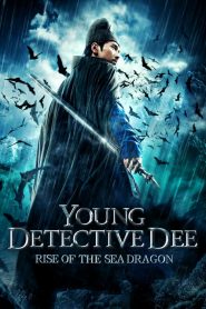 Young Detective Dee: Rise of the Sea Dragon (2013)